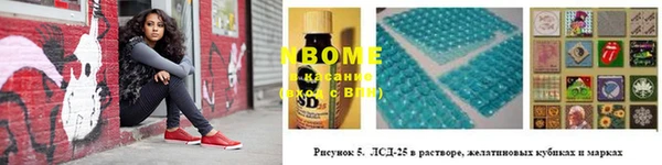 дмт Новозыбков