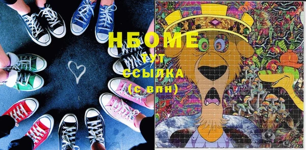 шишки Покачи