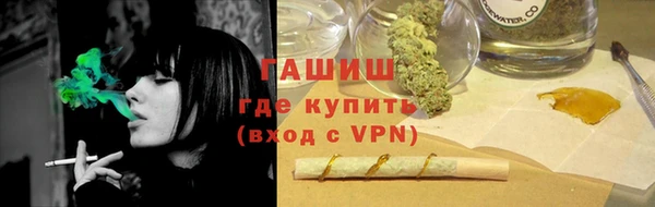 шишки Покачи