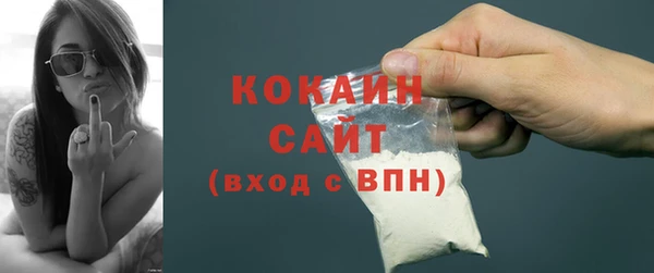 дмт Новозыбков