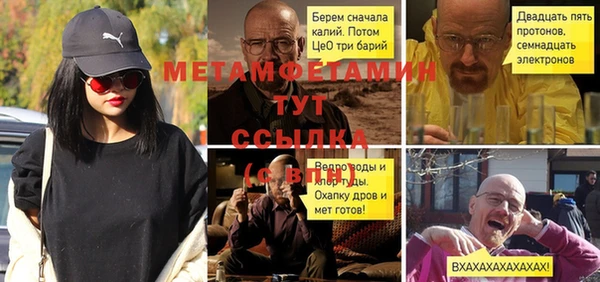 шишки Покачи