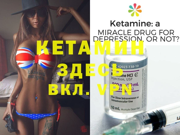 шишки Покачи