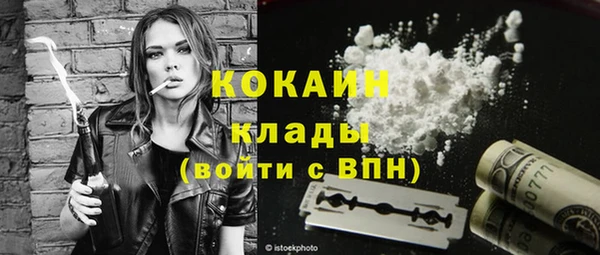 шишки Покачи