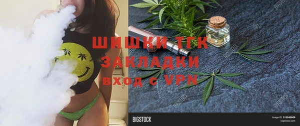дмт Новозыбков