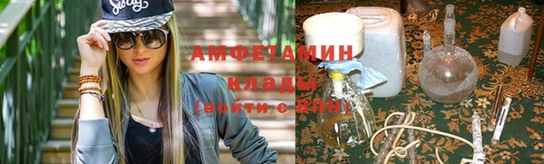 шишки Покачи
