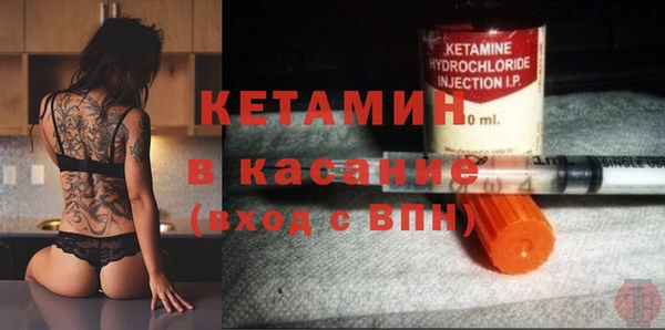 шишки Покачи