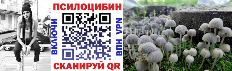 блэк спрут Отрадное Псилоцибиновые грибы мухоморы