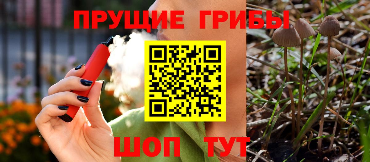 Галлюциногенные грибы мицелий Отрадное